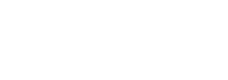 service-partner-datalite