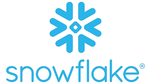 tech-partner-snowflake-removebg-preview
